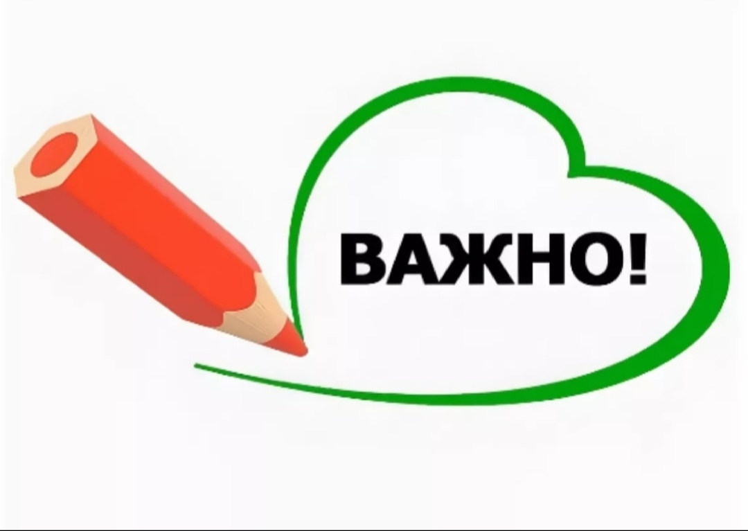 О проведении ВПР в 2025 году.