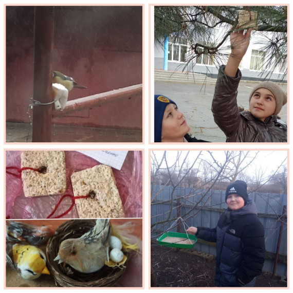 «Птичья столовая».